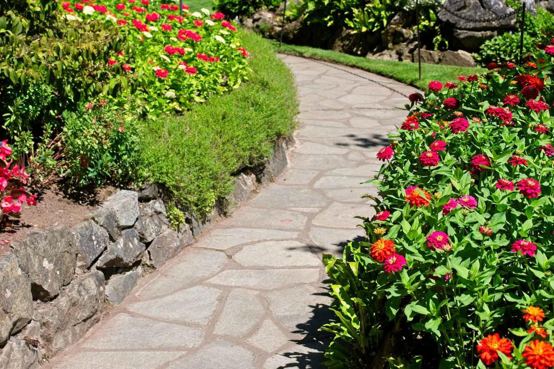 Die besten Pflanzen für heiße und trockene Gärten - Florade.de