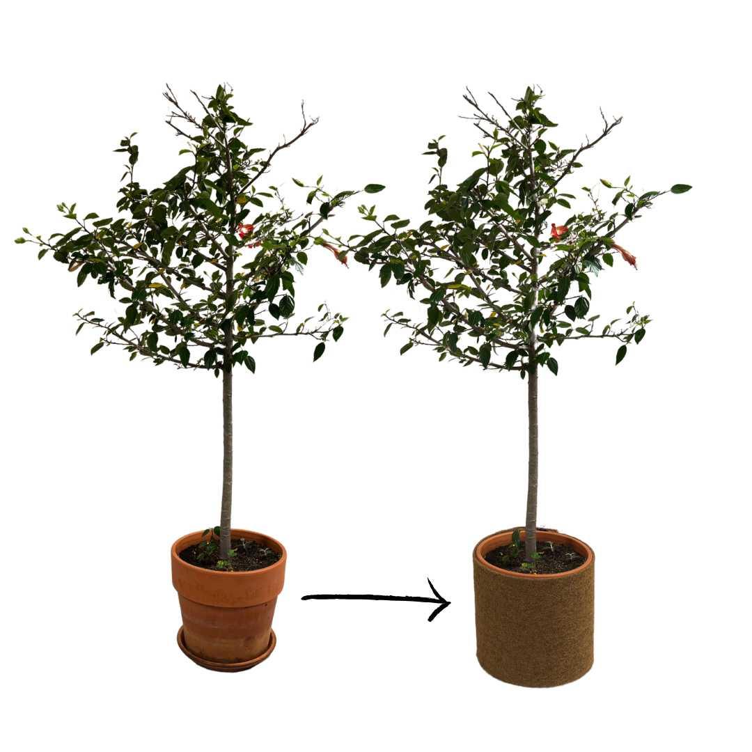 Kokosmatte 800 g/m²