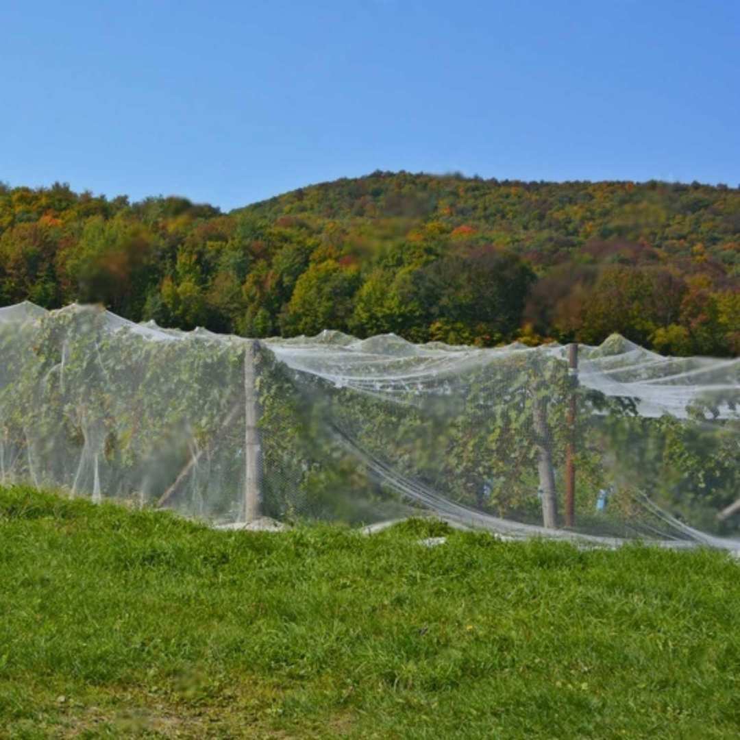 Fliegengitter & Moskitonetz für Garten und Gewächshaus - Florade.de