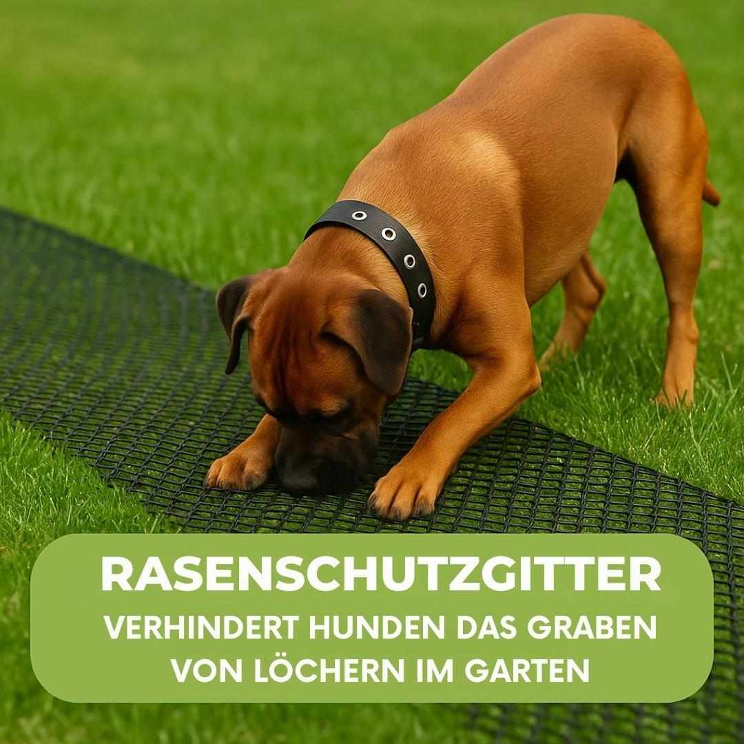 Rasengitter gegen grabende Hunde
