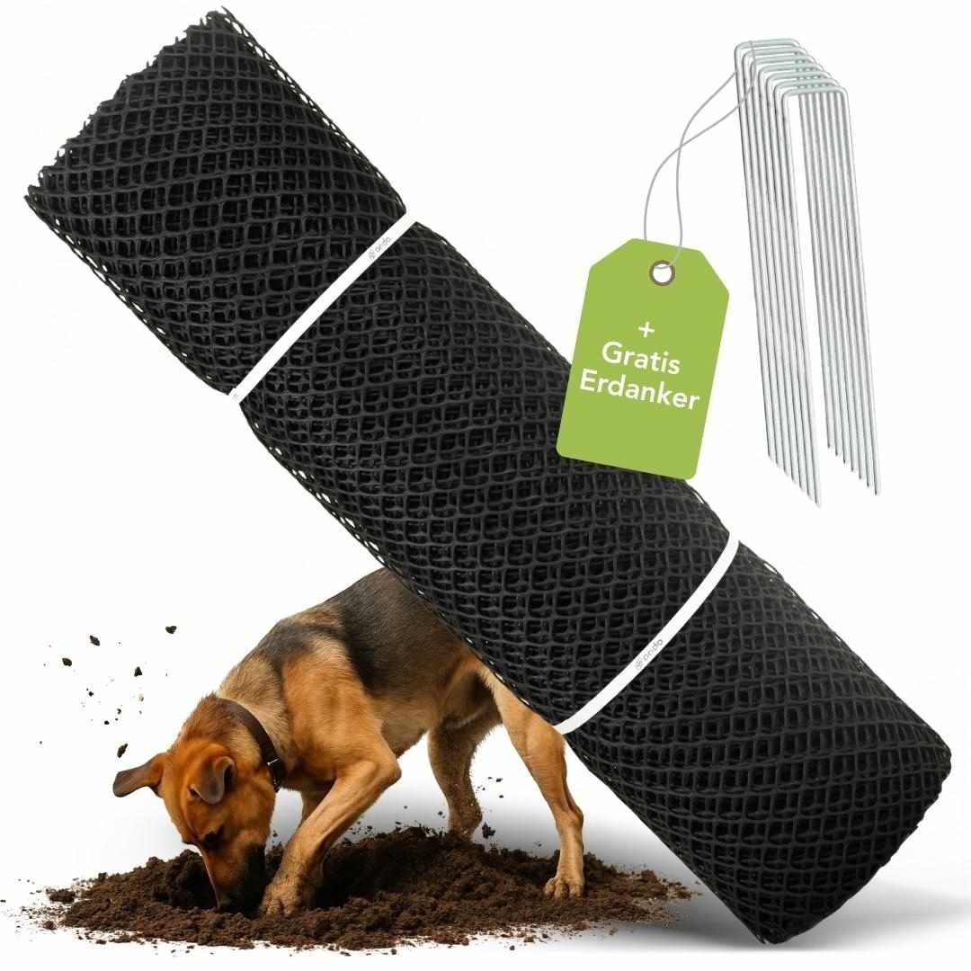 Rasengitter gegen grabende Hunde