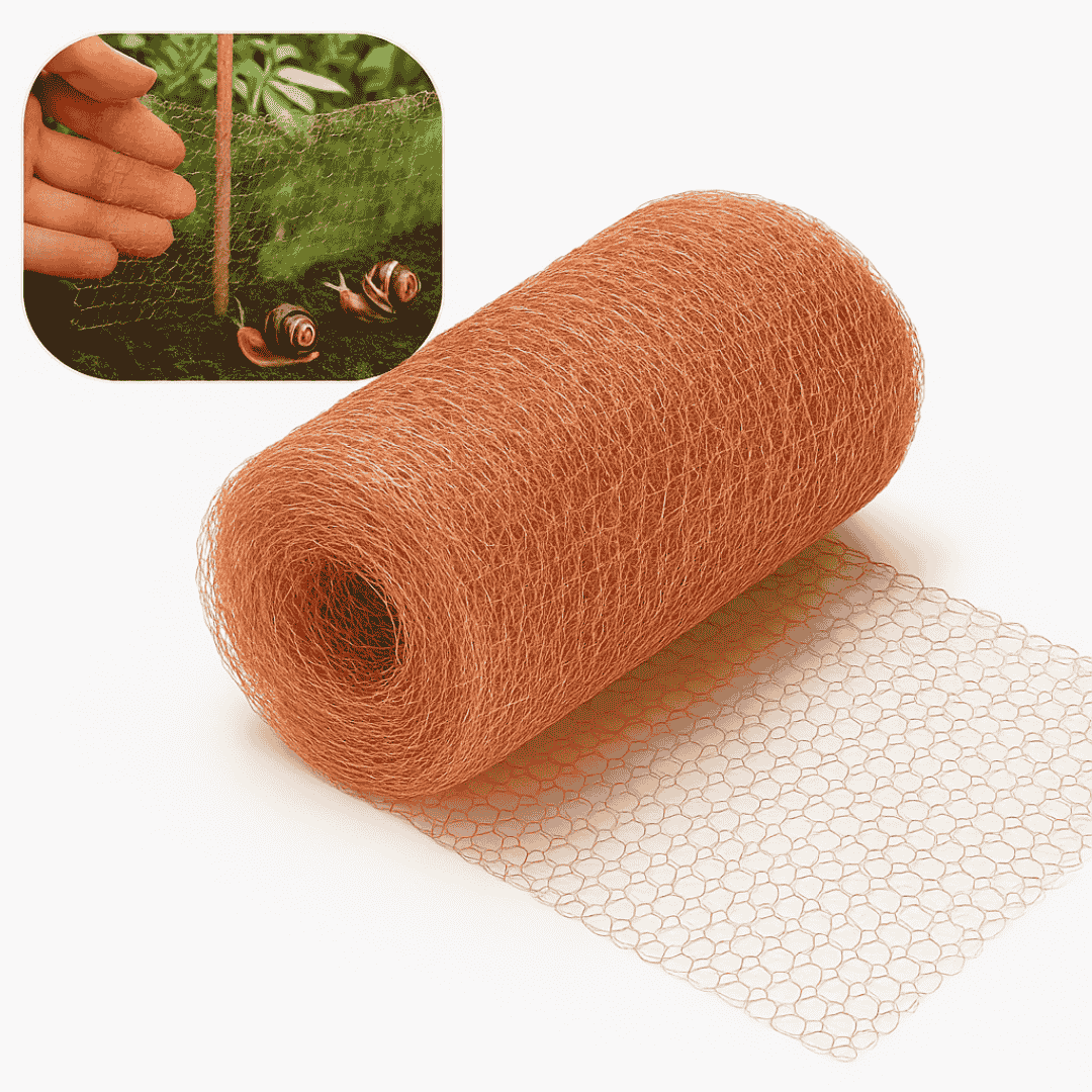 Schneckenschutz aus Kupfer