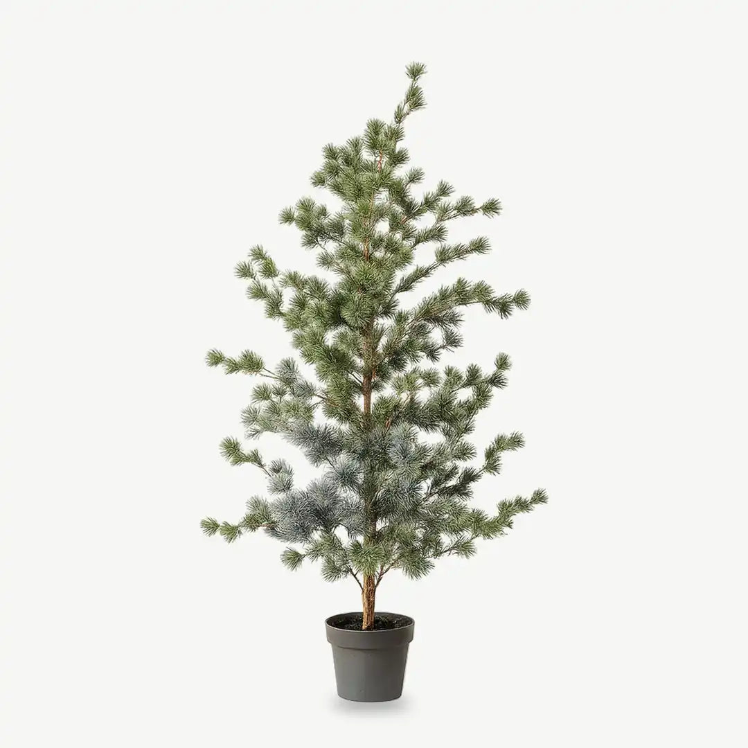 Künstliche Kiefer: Weihnachtsbaum im Topf, 150 cm kaufen