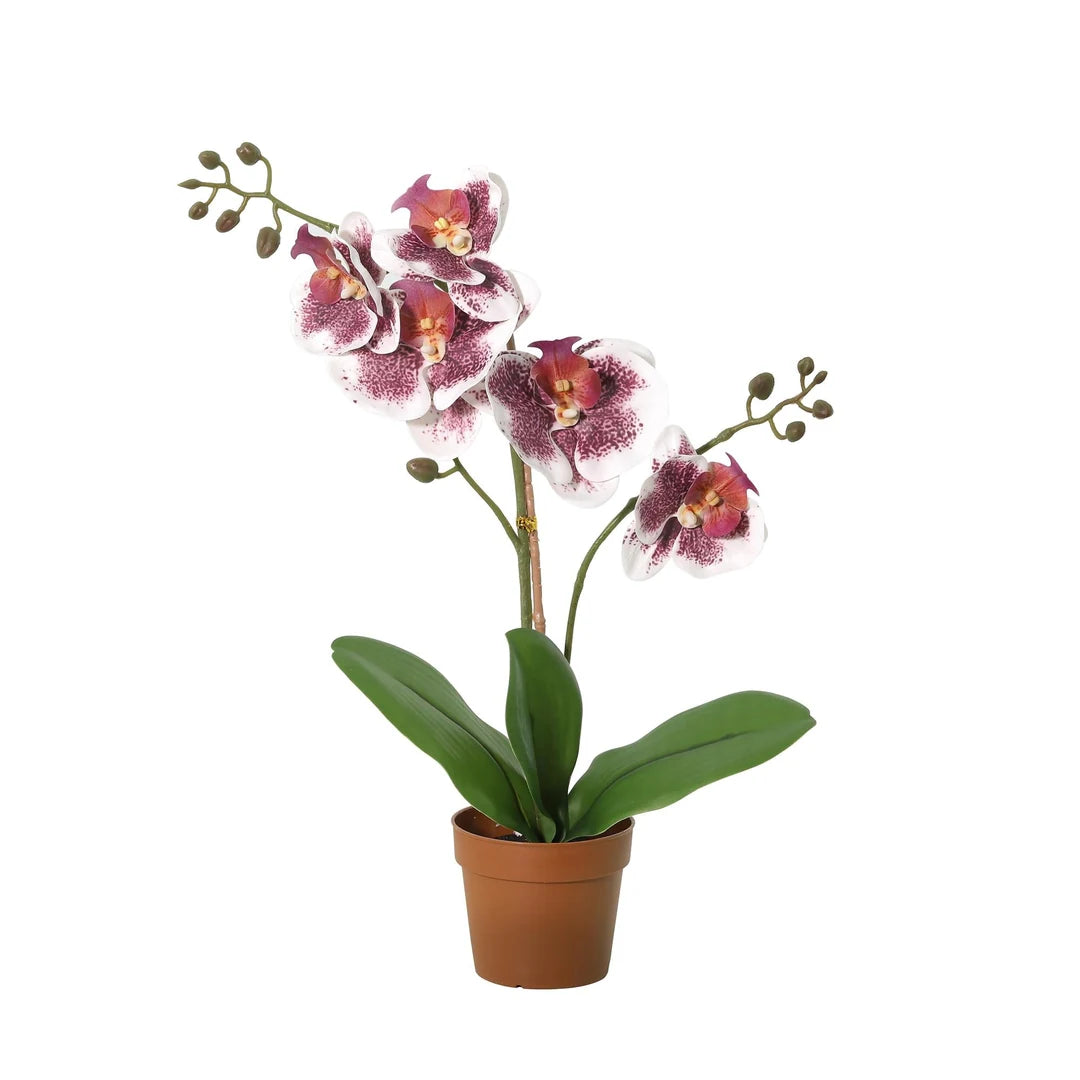 Künstliche Orchidee in Violett-Weiß im Topf