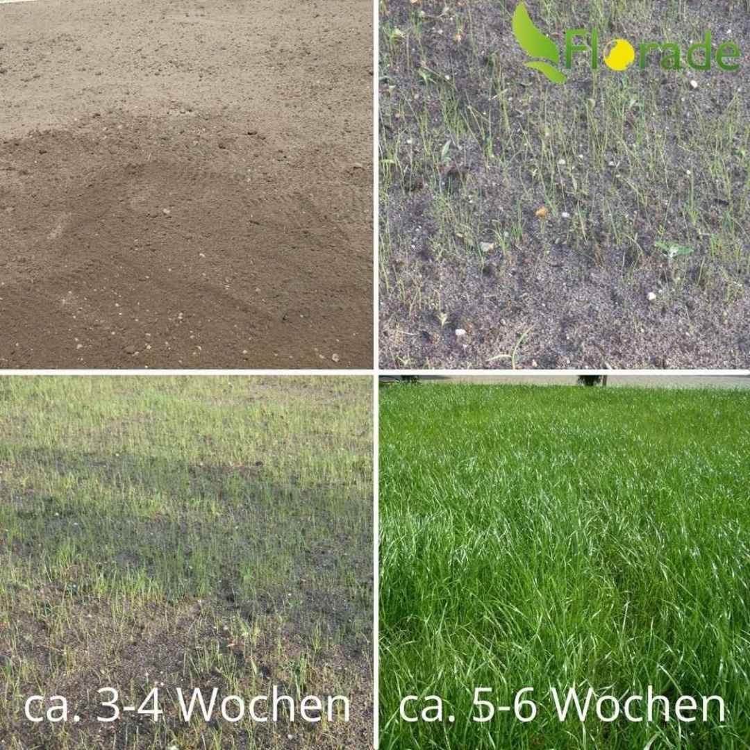 Rasenvlies - Freizeitrasen Rasenmatte Gartenrasen - biologisch abbaubar - 1m Breite - Florade.de Erosionsschutz, Hangbegrünung, Hangsicherung, Rasenmatte, Rasenvlies, Rollrasen