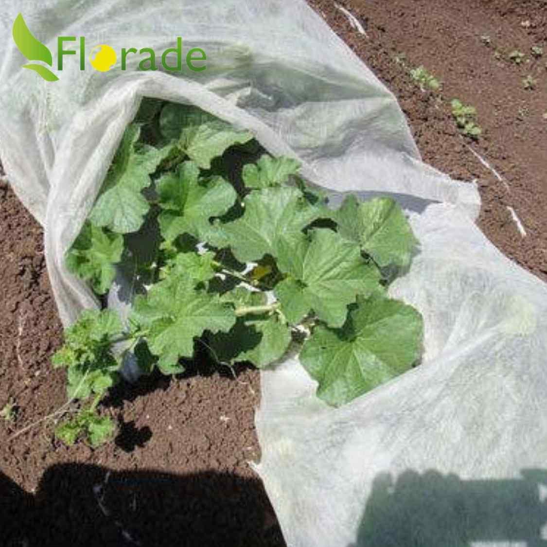 Wintervlies - Thermovlies - Winter Pflanzenschutz - Frostschutz - Florade.de