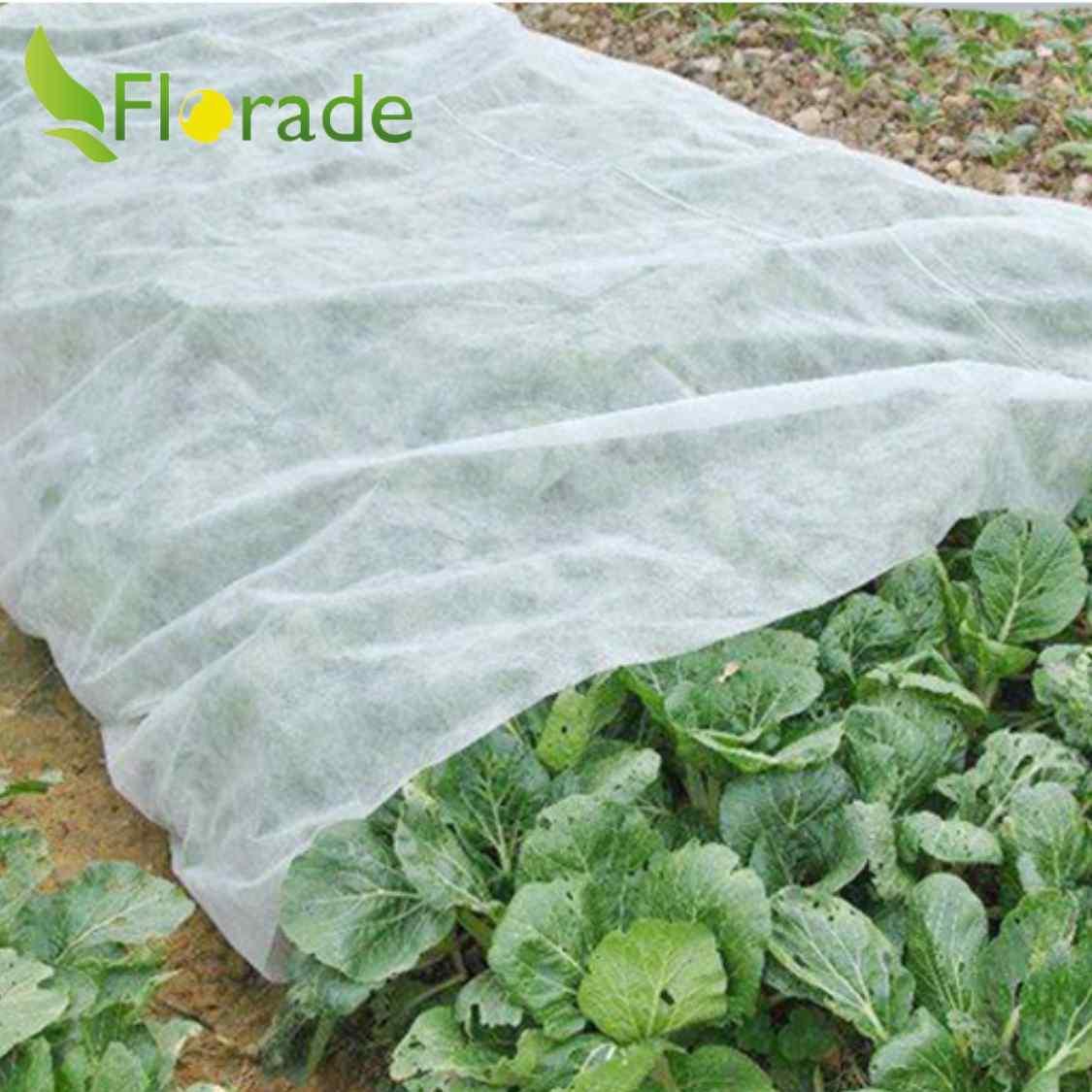 Wintervlies - Thermovlies - Winter Pflanzenschutz - Frostschutz - Florade.de