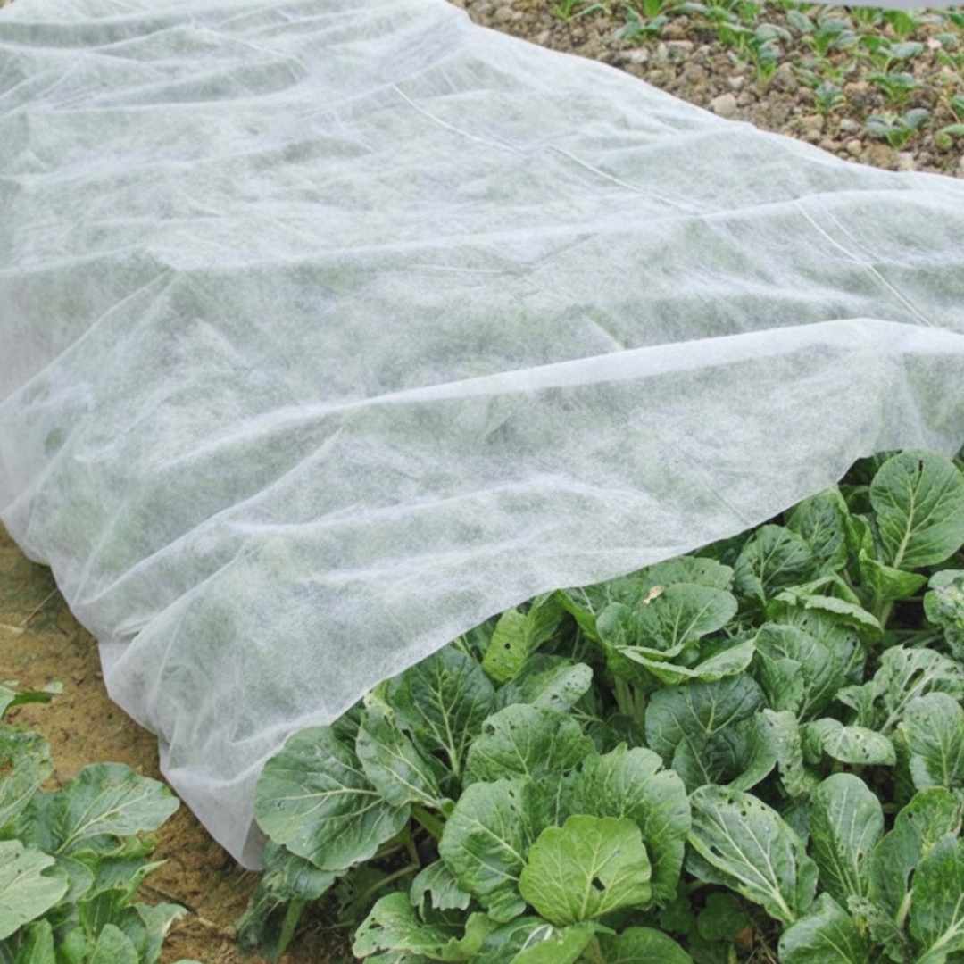 Wintervlies - Thermovlies - Winter Pflanzenschutz - Frostschutz - Florade.de