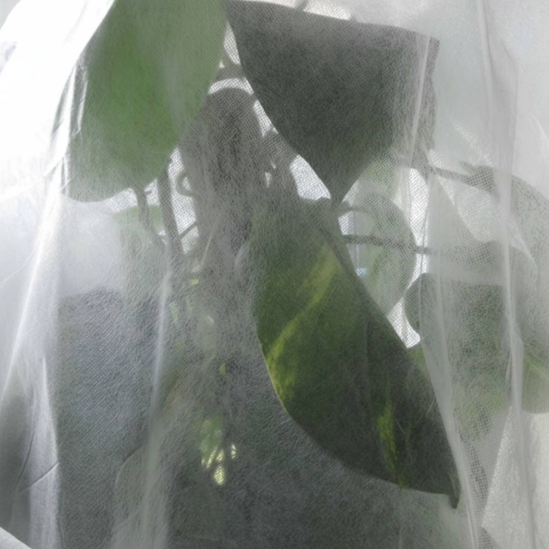 Wintervlies - Thermovlies - Winter Pflanzenschutz - Frostschutz - Florade.de