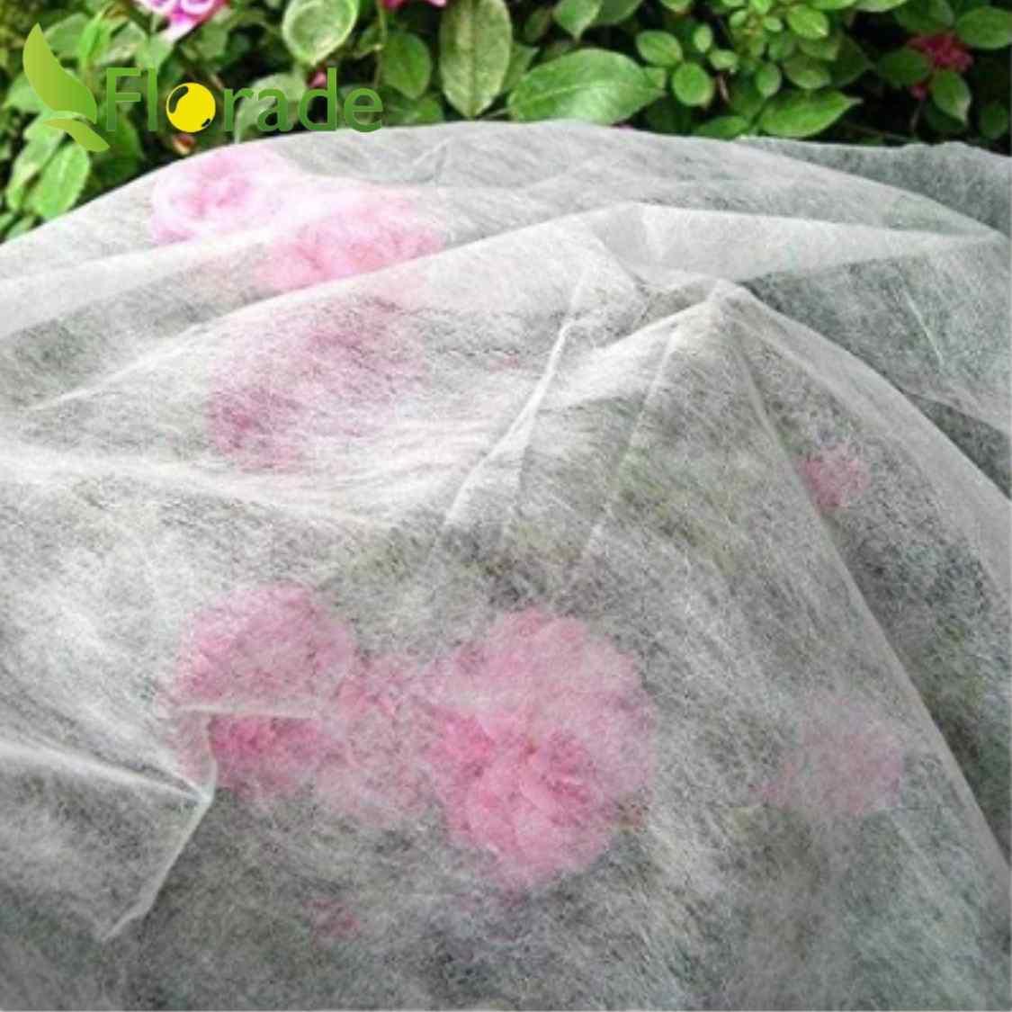 Wintervlies - Thermovlies - Winter Pflanzenschutz - Frostschutz - Florade.de