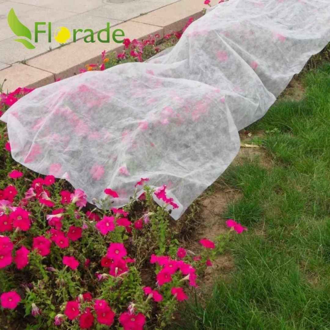 Wintervlies - Thermovlies - Winter Pflanzenschutz - Frostschutz - Florade.de