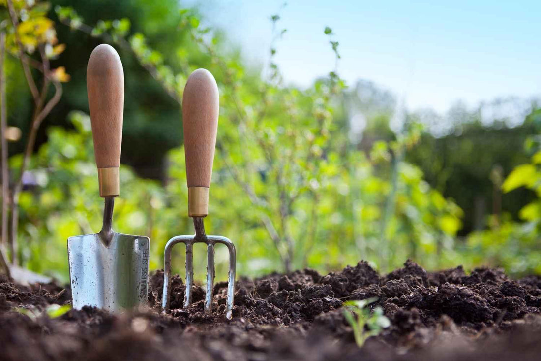 5 Tipps für einen gesunden Garten - Florade.de