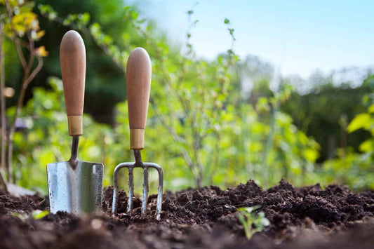 5 Tipps für einen gesunden Garten - Florade.de