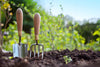 5 Tipps für einen gesunden Garten - Florade.de