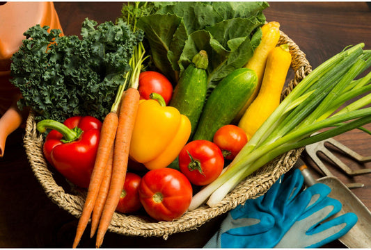 Ernährung aus dem Garten: Frisch, Gesund und Lecker - Florade.de