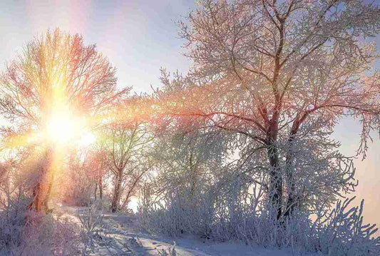 Warum Wintersonne gefährlicher ist als Frost