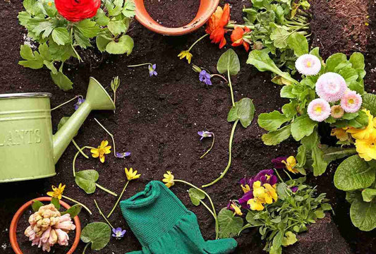 Der Garten durchs Jahr – dein Pflanz- und Pflegekalender von Januar bis Dezember