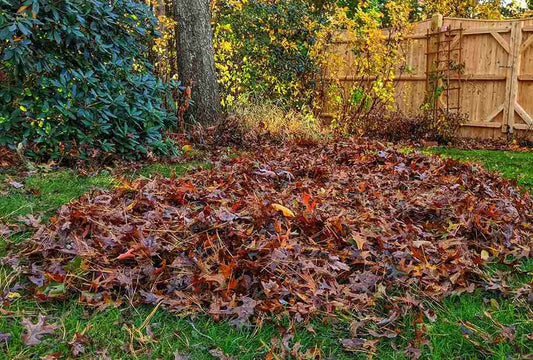 Laub im Garten – Segen statt Ärgernis