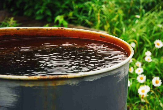 Wasser sparen mit System – so nutzt du Regenwasser das ganze Jahr über
