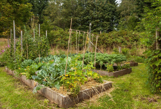 So legst du ein No-Dig-Beet an – Gartenarbeit ohne Umgraben