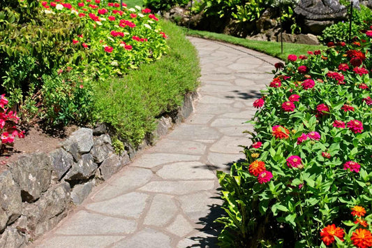 Die besten Pflanzen für heiße und trockene Gärten - Florade.de