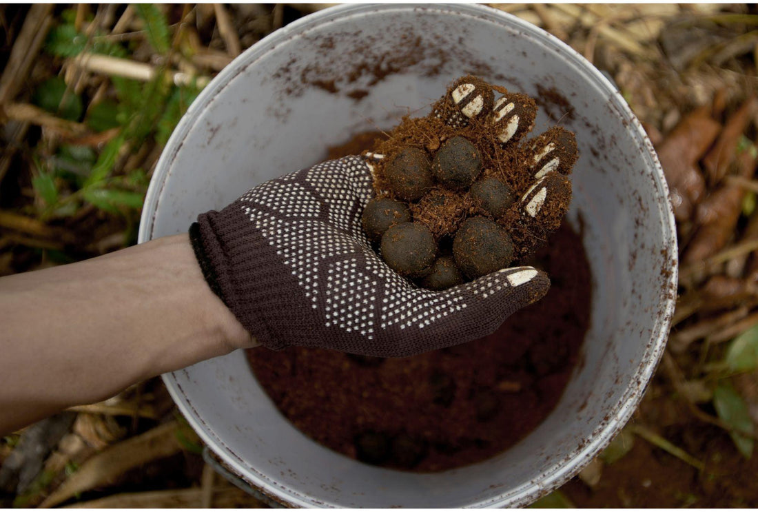 DIY Saatgutbomben: Ein einfacher Weg, die Natur zu unterstützen - Florade.de