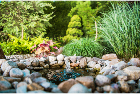 Ein kleines Paradies im eigenen Garten: So legst du einen Gartenteich an - Florade.de