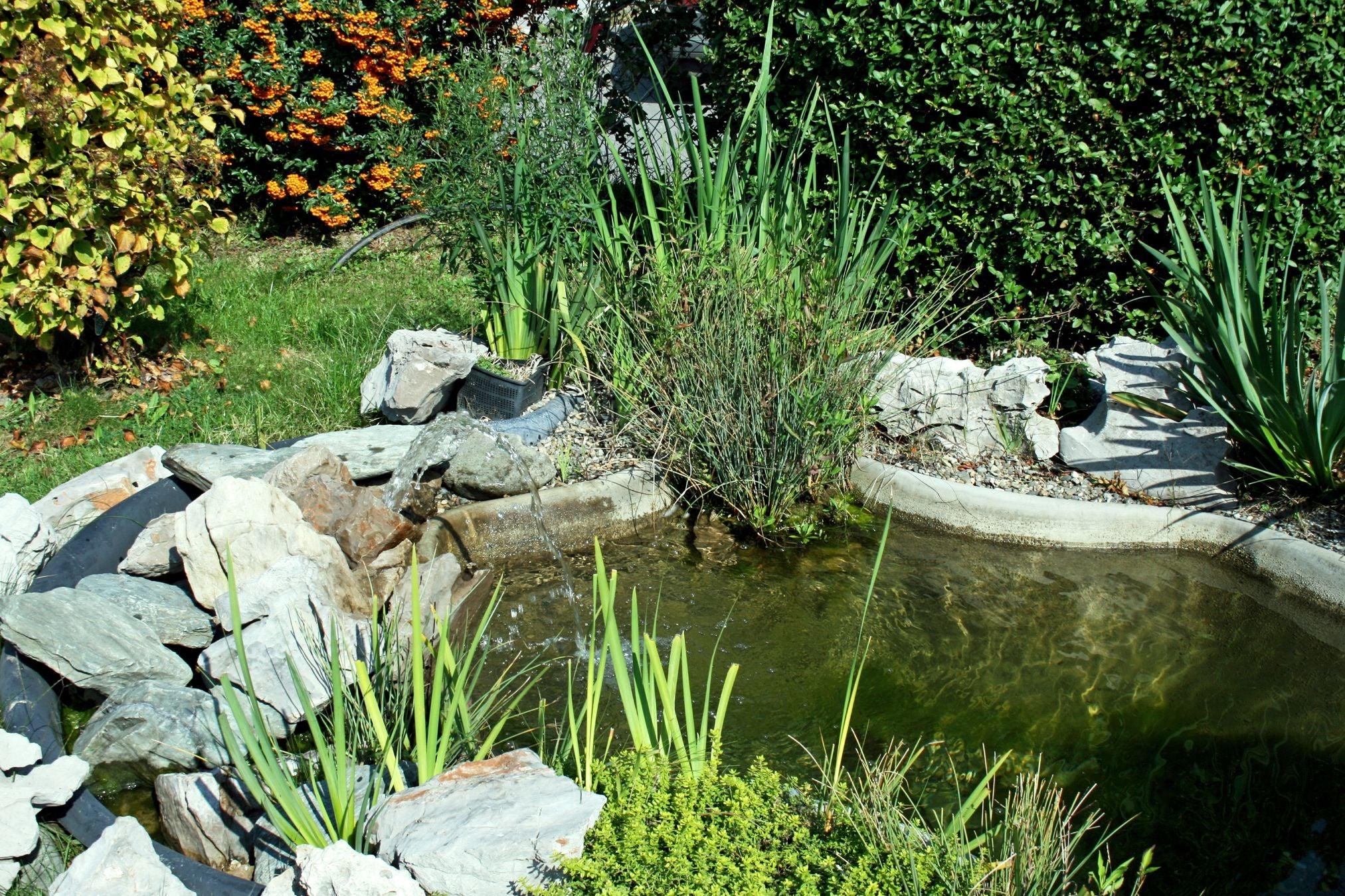 Einen Gartenteich anlegen - so klappt es! - Florade.de