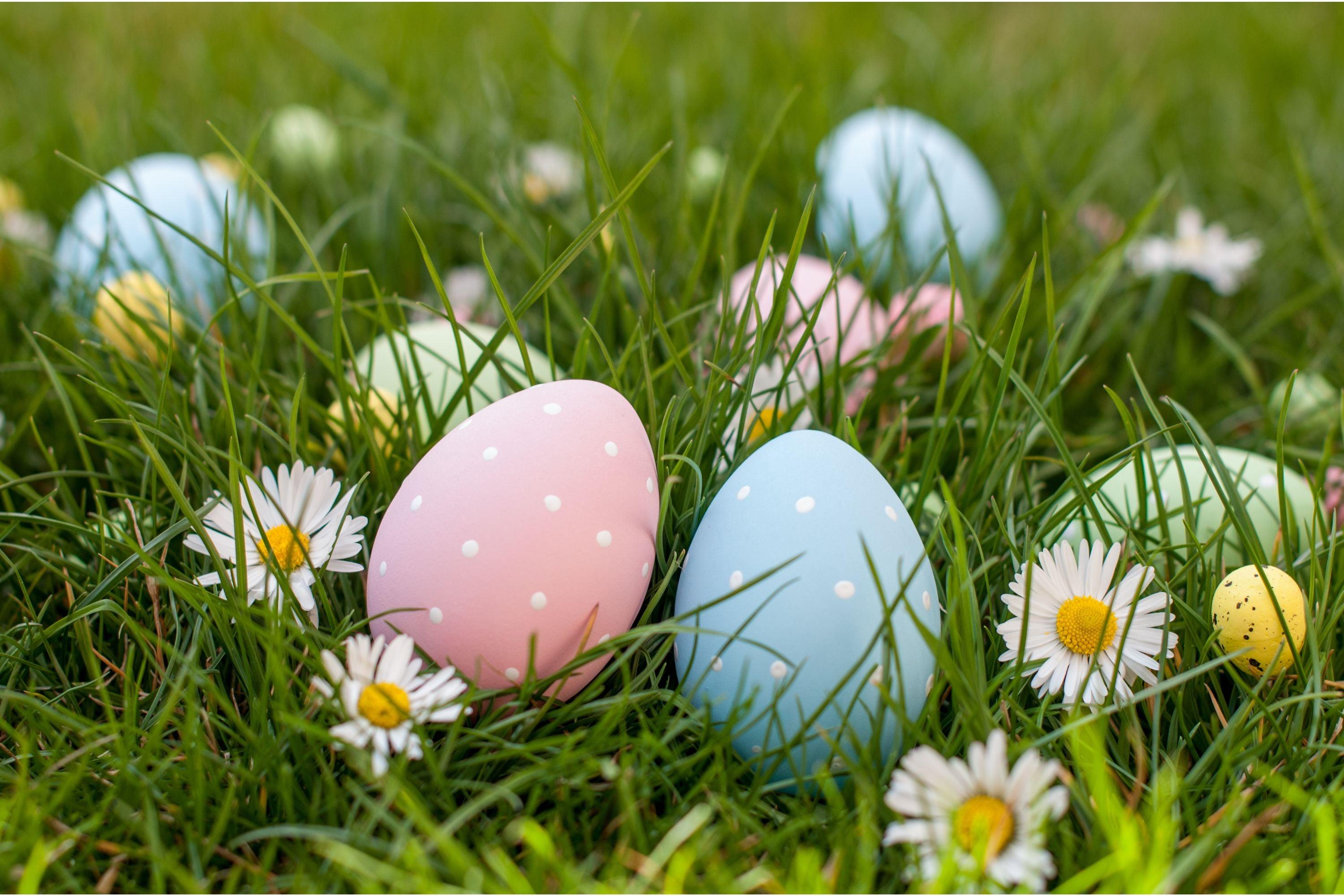 Frühlingsblumen und ihre Bedeutung: Eine Osterreise durch den blühenden Garten - Florade.de