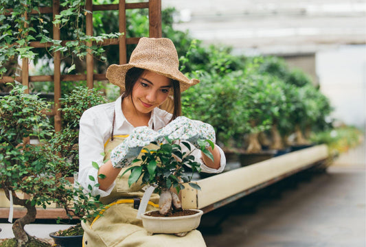 Grüne Therapie: Wie Gartenarbeit unsere Gesundheit verbessert - Florade.de