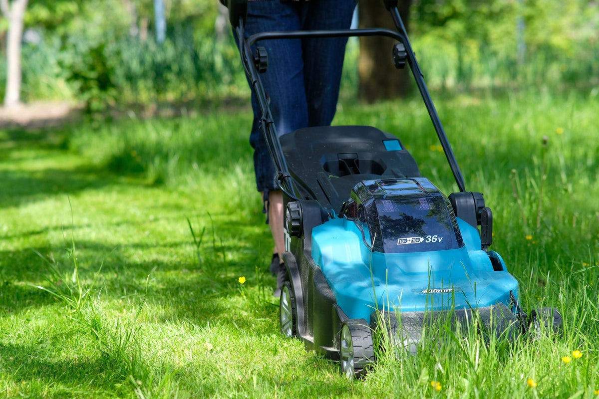 Perfekter Rasen: Tipps für einen satten grünen Teppich wie auf dem ...