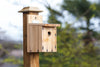 Vogelhaus-DIY: Schritt-für-Schritt-Anleitung zum Bau eines Vogelhauses für deinen Garten - Florade.de