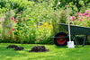 Was bei Maulwürfen im Garten zu tun ist - Florade.de