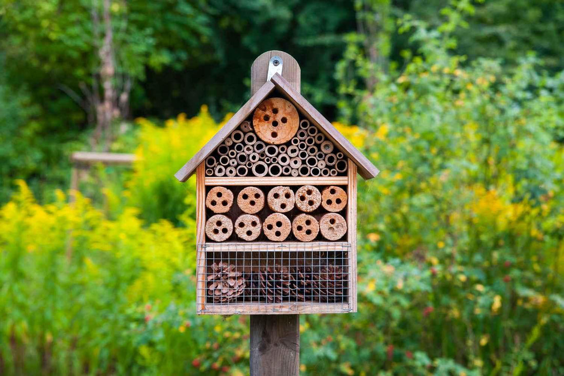 Wie man ein natürliches Bienenhotel baut - Florade.de