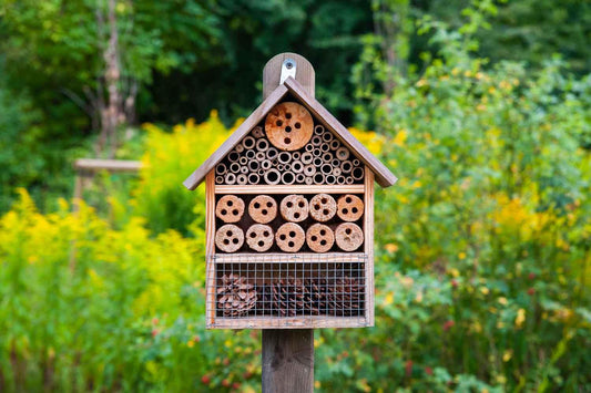 Wie man ein natürliches Bienenhotel baut - Florade.de
