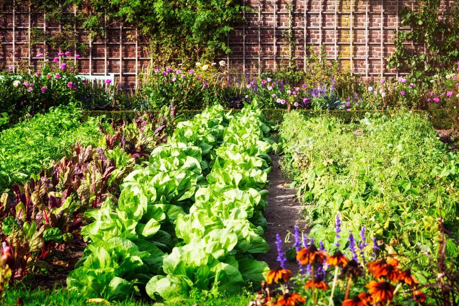 Wie man einen Gemüsegarten anlegt - Florade.de