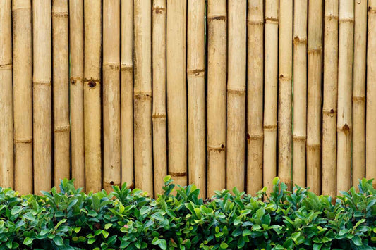 Wie man einen natürlichen Zaun im Garten baut - Florade.de