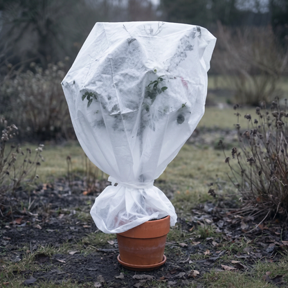 Florade Wintervlies 19 g/m² um einen Kübelpflanzen-Topf gewickelt, dünnes durchscheinendes Vlies