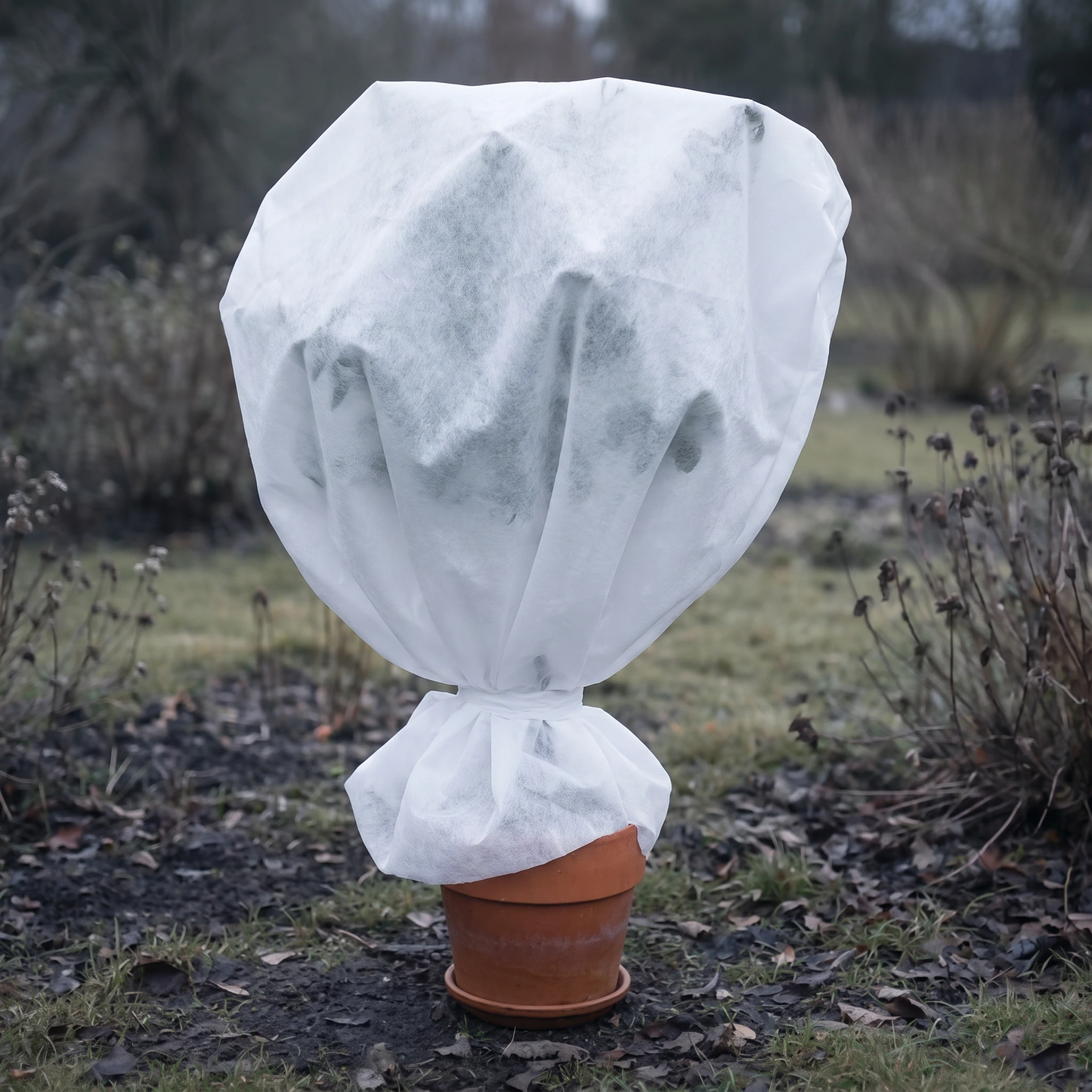 Florade Wintervlies 30 g/m² um einen Kübelpflanzen-Topf gewickelt, mittlere Vliesdichte