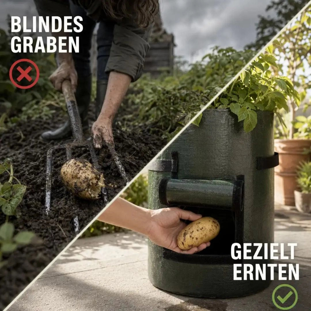 Blindes Graben im Beet gegen gezieltes Ernten über die Klappe