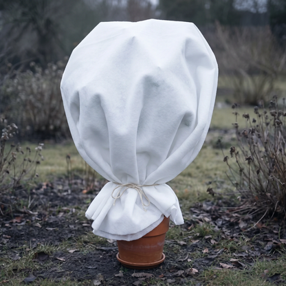 Florade Wintervlies 50 g/m² um einen Kübelpflanzen-Topf gewickelt, blickdichtes Vlies