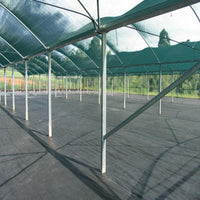 Schattiernetz