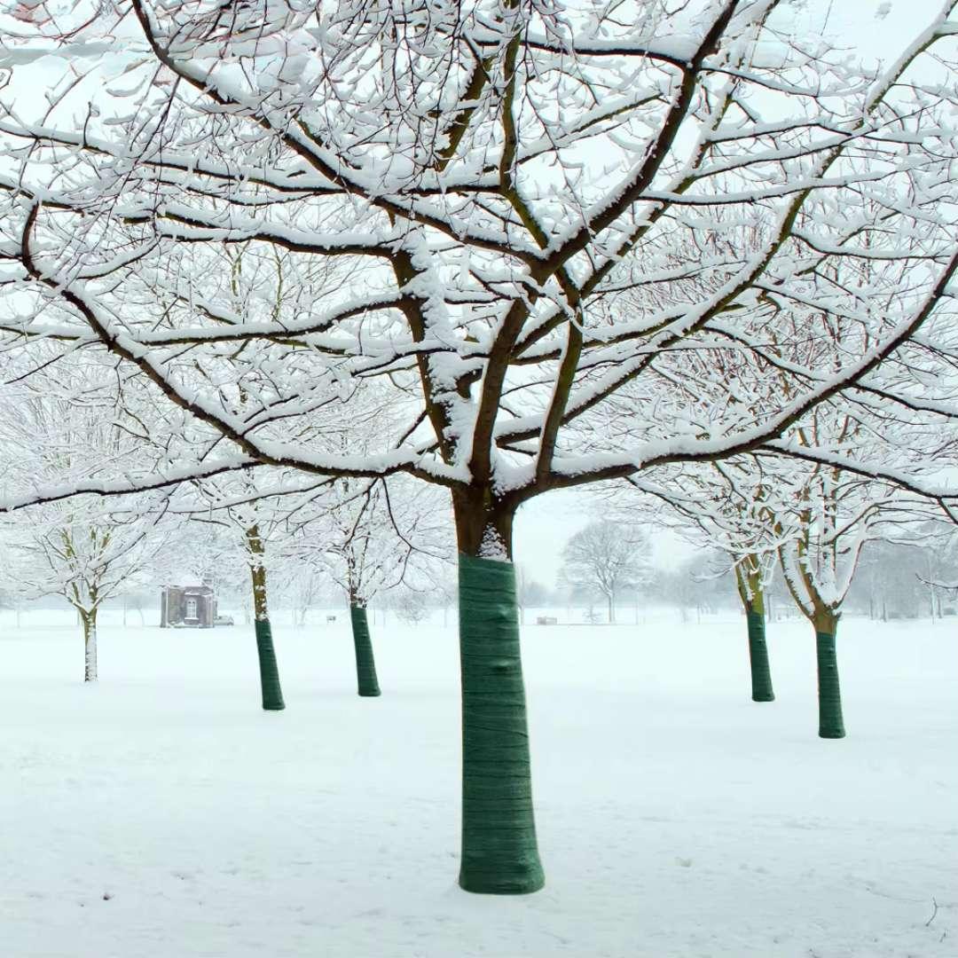 Baumstamm Winterschutz