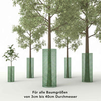 Baumschutz Set