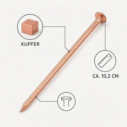 Baumstumpf – Kupfernägel