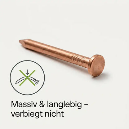 Baumstumpf – Kupfernägel