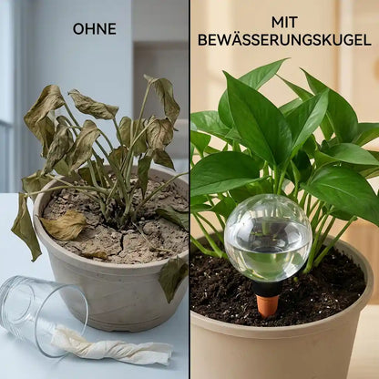Bewässerungskugeln mit Tonkegel