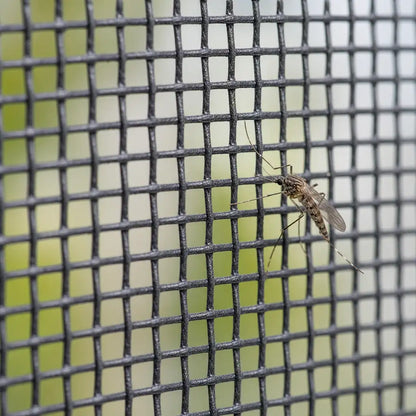 Fliegengitter Fenster