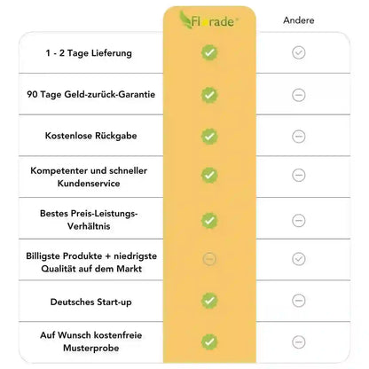Gerüstnetz