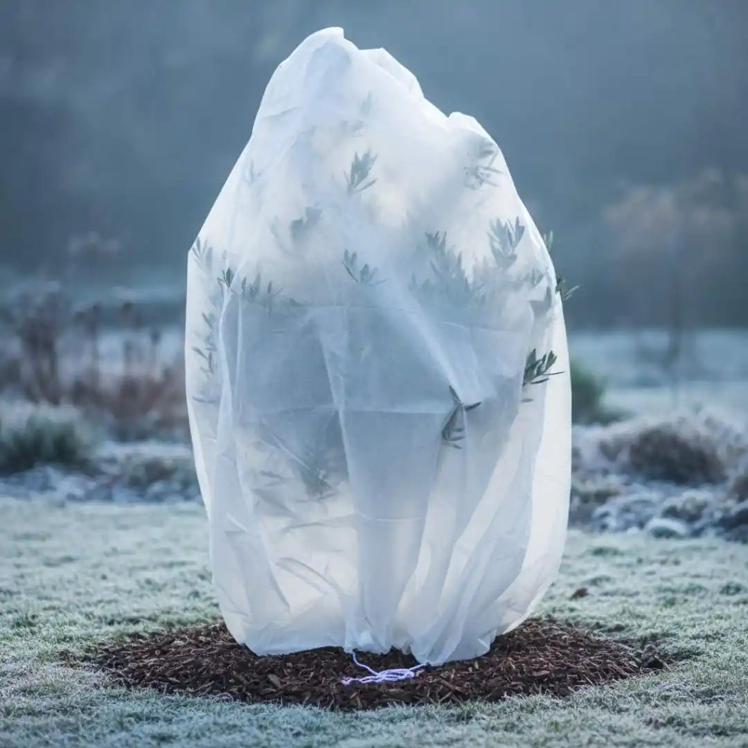 Frostschutzhaube